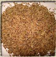 Cumin seeds