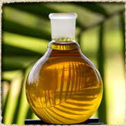 Palm Oil