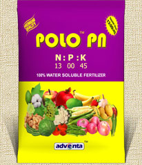 POLO PN